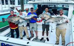 Black Drum fishing in Delaware